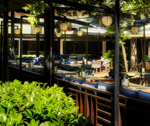 umami culture umami culture