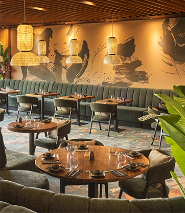 umami culture umami culture